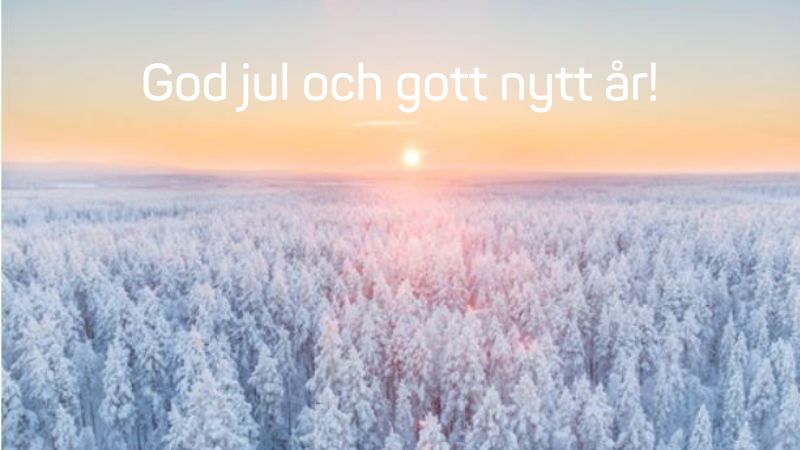 Joulukuva Kevan uutiskirjeeseen SV.jpg